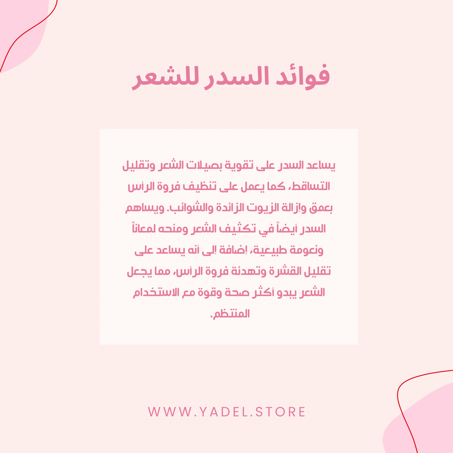 سدر صافي